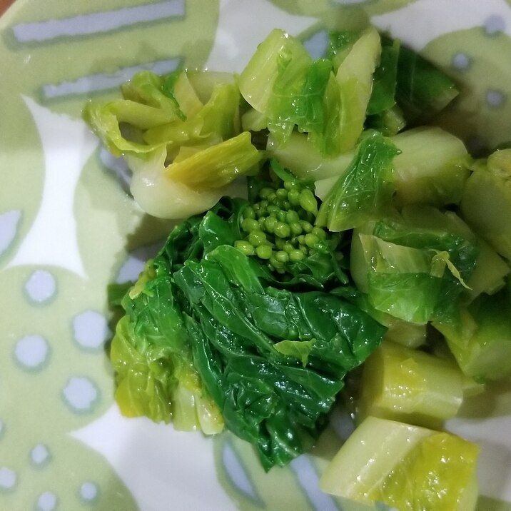 白菜の花のおひたし